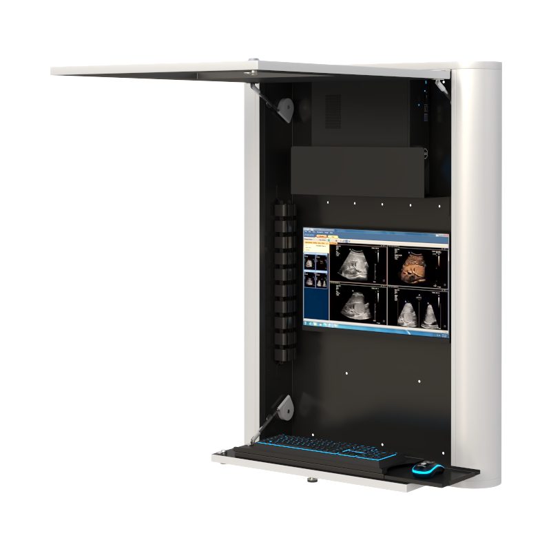 AFC Wall Mounted Computer Cabinet for Secure Storage and Easy Access