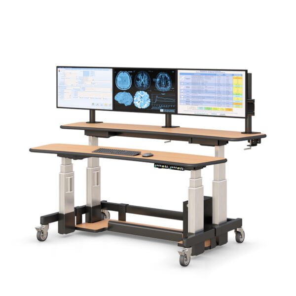 Ergonomic Dual-Tier Computer Standing Desk Height Adjustable