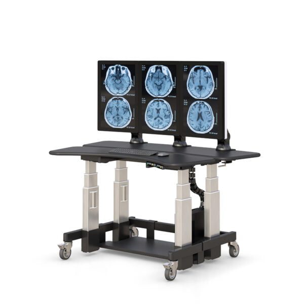 Ergonomic Dual-Tier Height Adjustable Standing Computer Desk