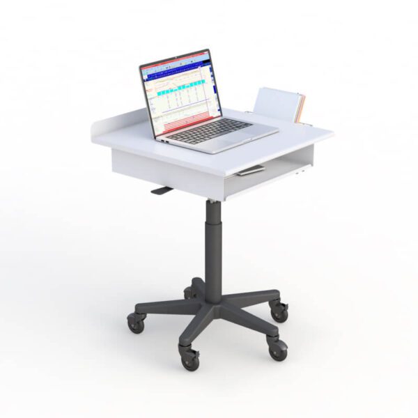 Rolling Computer Desk on Wheels