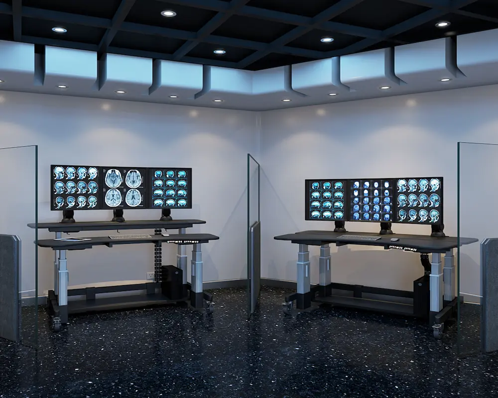 what is ergonomic furniture workstation with adjustable desk and ergonomic chair looks like?