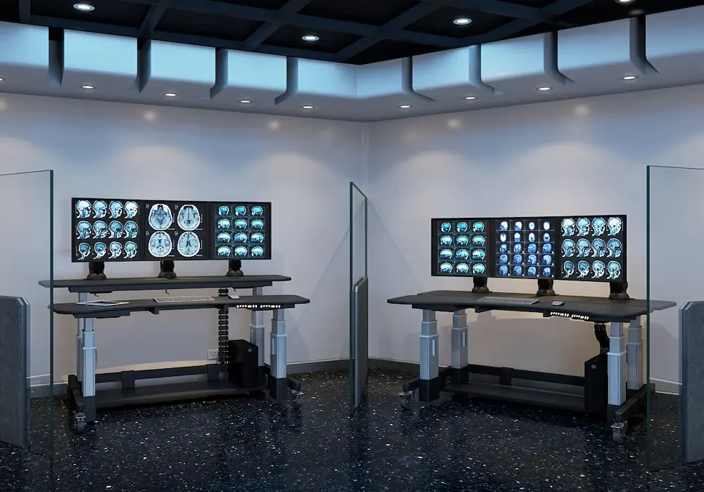 what is ergonomic furniture workstation with adjustable desk and ergonomic chair looks like?